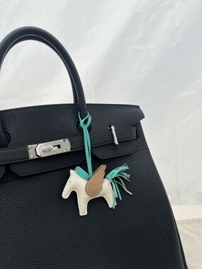 Rodeo Pegase PM charm